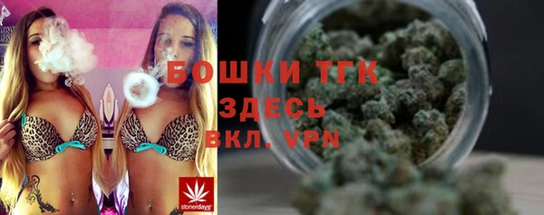 дживик Струнино