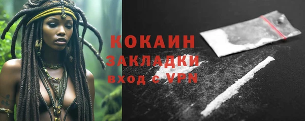 СК Строитель