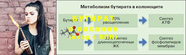 СК Строитель