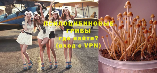 дживик Струнино