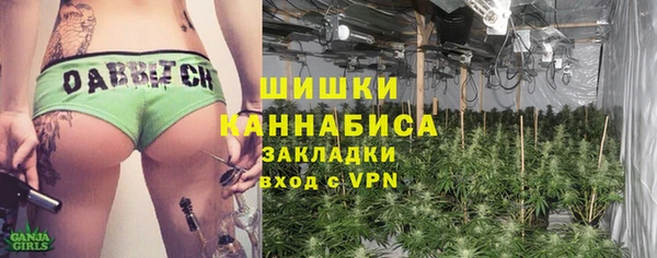 дживик Струнино