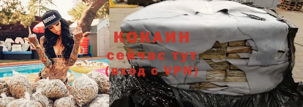 СК Строитель