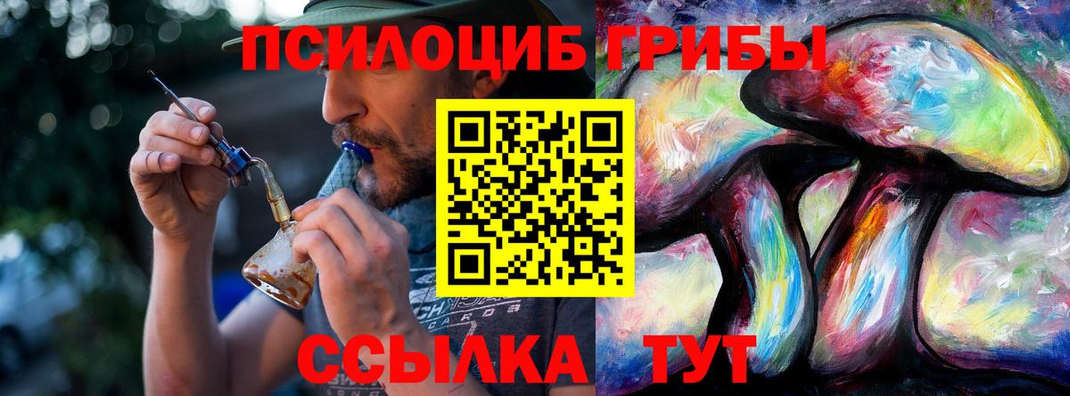 Псилоцибиновые грибы GOLDEN TEACHER Усолье-Сибирское
